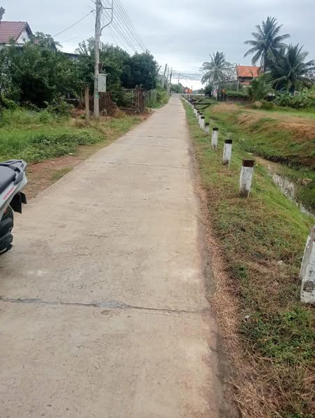 477861426 1970212053445574 603092755384365430 n.jpg