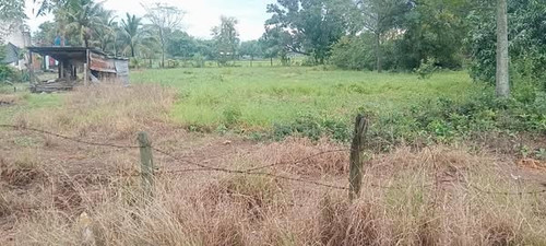 477758295 1970211710112275 8361281133804545679 n.jpg