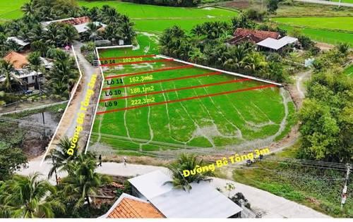 477275261 9163740963713289 4076219457153429394 n.jpg