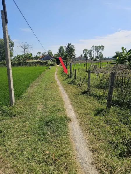 476639358 2997607160398478 231410865526040266 n.jpg