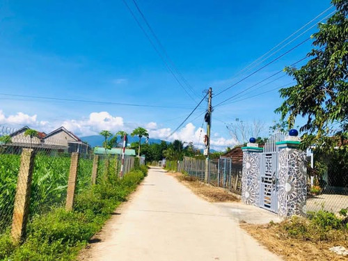 476644429 1747333469161482 5394682471196761903 n.jpg