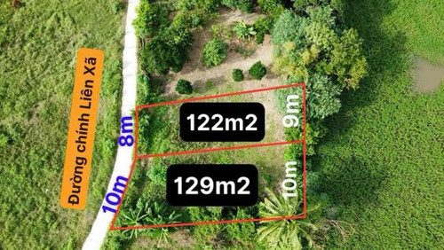 476633881 1747333445828151 4605592778789639222 n.jpg