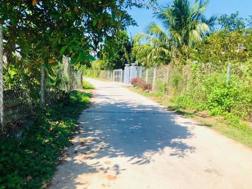 476990979 1747333472494815 3113640821664551999 n.jpg