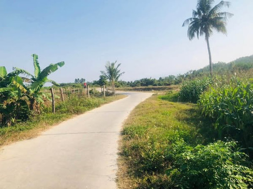 476638984 1747333465828149 8433450397587555889 n.jpg