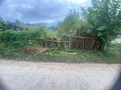 477327629 3522830651359953 8111839824852235736 n.jpg