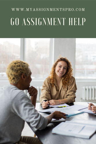 Go Assignment Help.jpg