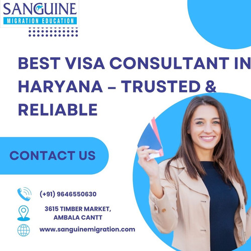 Best Visa Consultant in Haryana – Trusted & Reliable.jpg