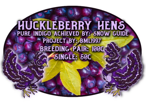 huckleberry hens.png