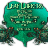 leaf lurker new price
