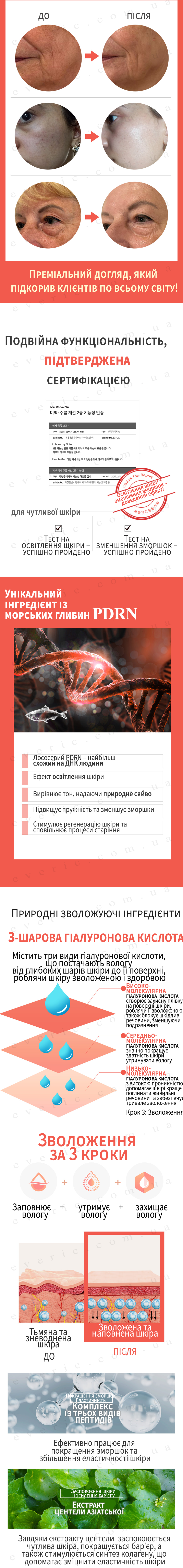 6 копия