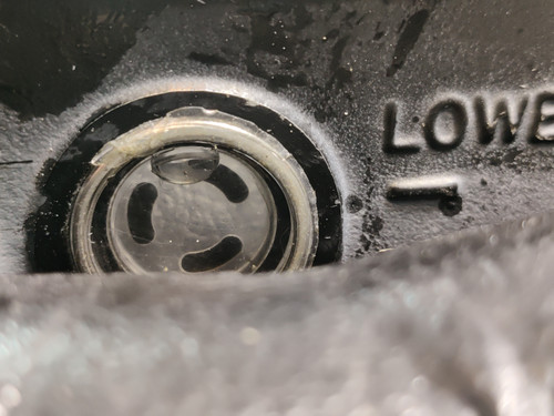 IMG 20250212 152037.jpg