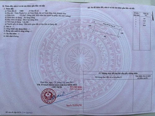 476799353 611649418416445 1007504533044979050 n.jpg