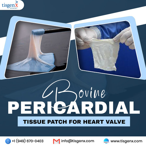 Bovine Pericardial Tissue Patch for heart valve.jpg