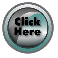 images removebg preview(2).png