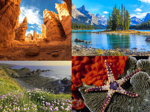 ' Glorified is  Allaah ,  The All-Mighty Creator '.jpg