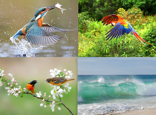 ' Glorified is The  All-Mighty Creator '.jpg