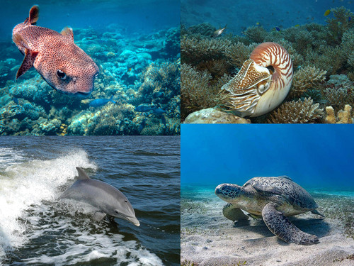 ' Glorified is The  All-Mighty Creator '.jpg