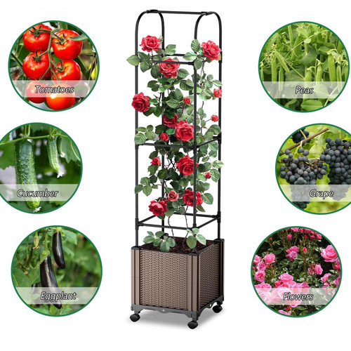 81aF4a9RhrL. AC SL1500 .jpg