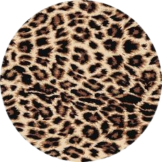 4dcf446d16373c94e382f03355f934f3 removebg preview.png