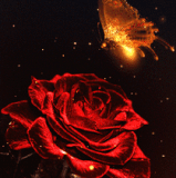 bloggif 67a12fd044860.gif