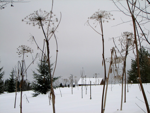 IMG 0018 2.jpg