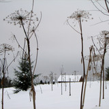 IMG 0018 2