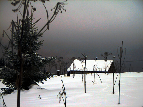 IMG 0012 1.jpg