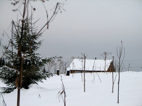 IMG 0012 2.jpg