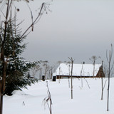 IMG 0012 2