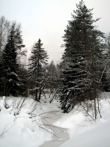 IMG 0013 1.jpg