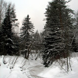 IMG 0013 1