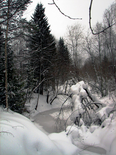 IMG 0009 1.jpg