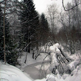 IMG 0009 1