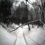 IMG 0017 1