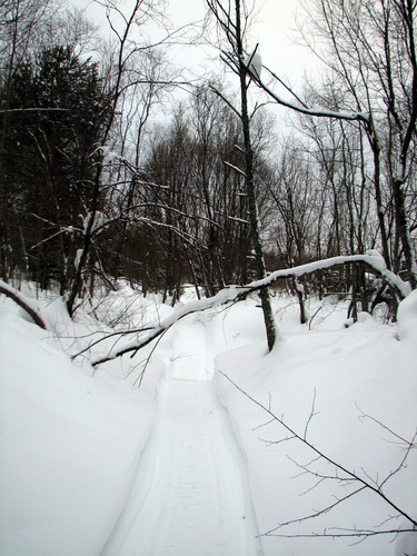 IMG 0017 2.jpg