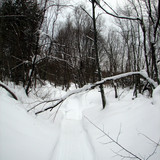 IMG 0017 2