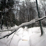 IMG 0020 1