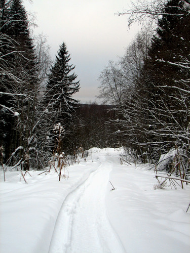 IMG 0009 1.jpg