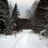 IMG 0009 1