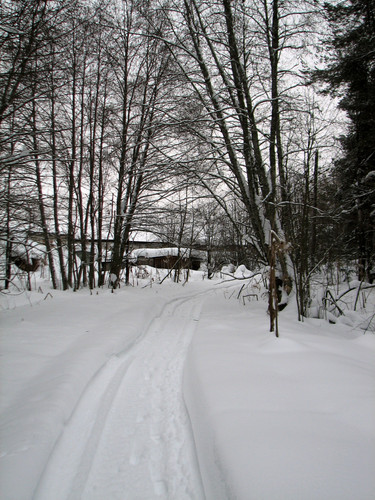 IMG 0011 1.jpg