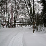 IMG 0011 1