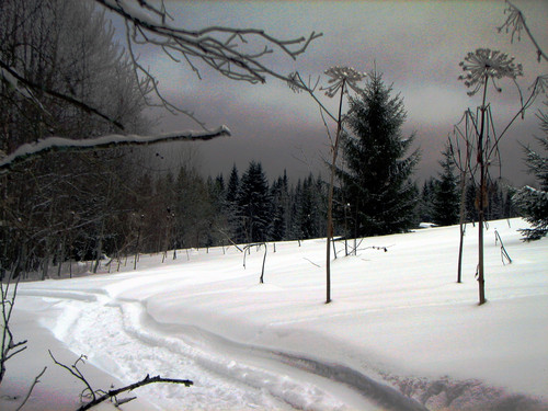 IMG 0020 1.jpg