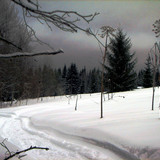 IMG 0020 1