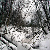IMG 0022 1