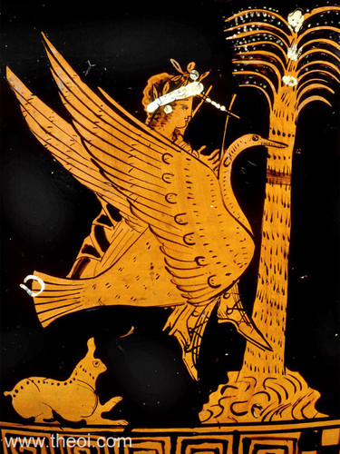 Apollo Riding Swan.jpg