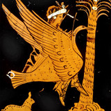 Apollo Riding Swan