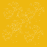 Animation1
