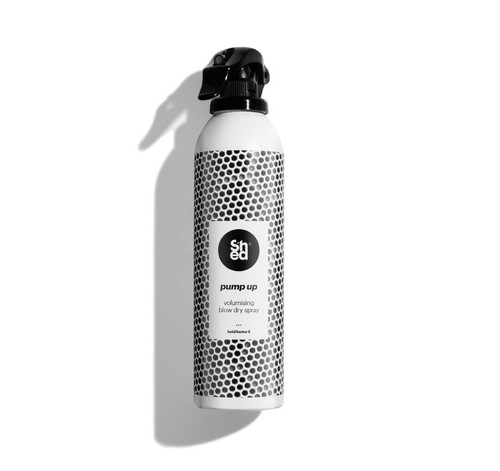 shed blowdry 2024 10 31 143403.jpg