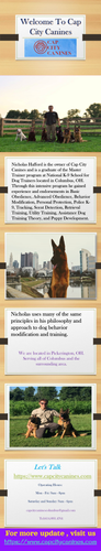 Welcome To Cap City Canines.png