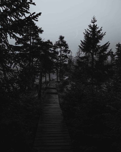 FB IMG 1727793595574.jpg